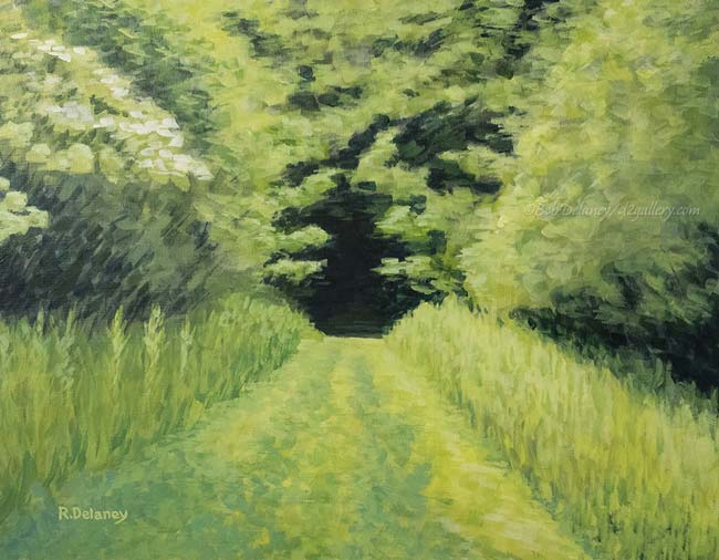 Heading into Frank Knight Forest
