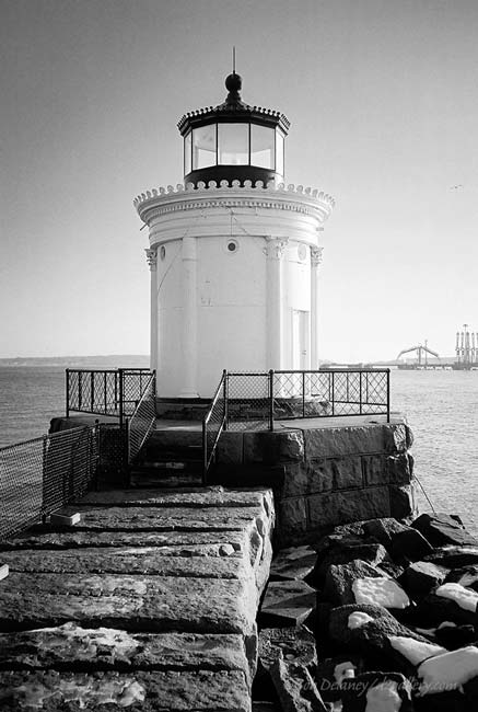Bug Light