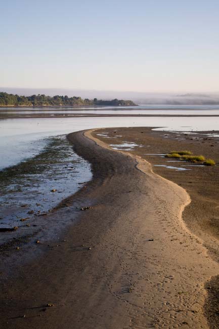 Sandy Point Beach, Yarmouth, Maine