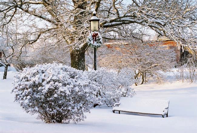 Village Green Park After a Snow Storm