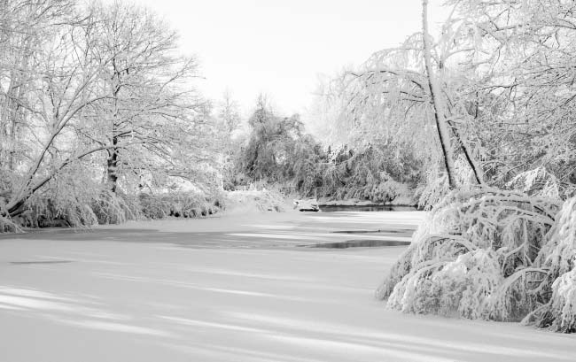 Winter View of the Royal River