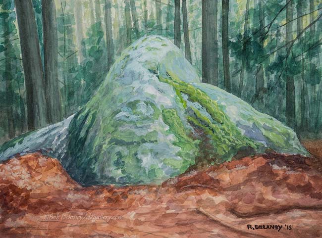 Glacial Erratic-Frank Knight Forest